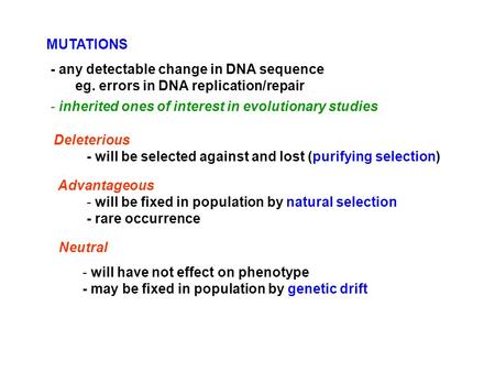 - any detectable change in DNA sequence eg. errors in DNA replication/repair - inherited ones of interest in evolutionary studies Deleterious - will be.
