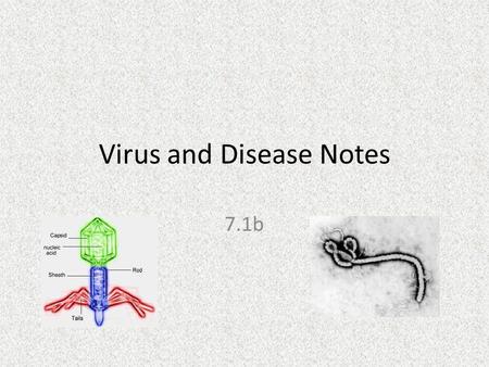 Virus and Disease Notes