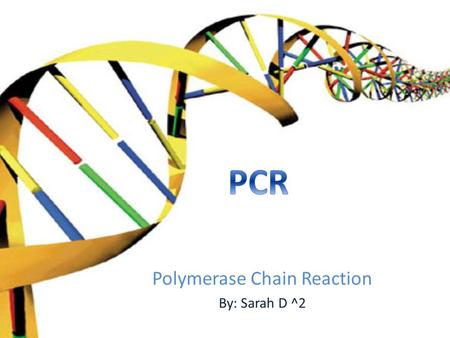 Polymerase Chain Reaction By: Sarah D ^2. PCR stands for ‘polymerase chain reaction’. PCR is the amplification of DNA sequence by repeated cycles of strand.