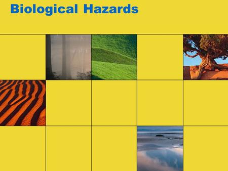 Biological Hazards. The Environment’s Role in Disease 1. Human health problems are caused by organisms that carry disease. 2. Infectious diseases are.