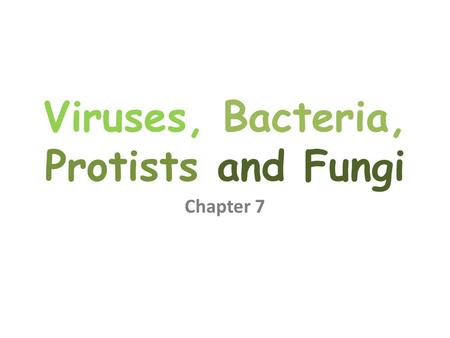 Viruses, Bacteria, Protists and Fungi Chapter 7. It is a dark and quiet night. An enemy spy slips silently across the border. Invisible to the guards,