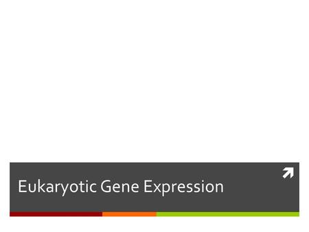  Eukaryotic Gene Expression.  Transduction  Transformation.