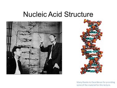 Nucleic Acid Structure Many thanks to Dave Bevan for providing some of the material for this lecture.