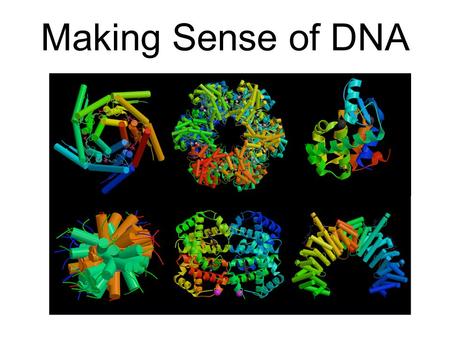Making Sense of DNA.