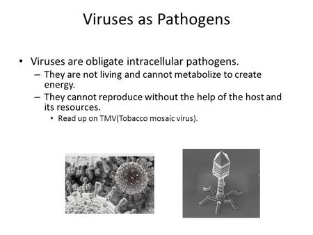 Viruses as Pathogens Viruses are obligate intracellular pathogens. – They are not living and cannot metabolize to create energy. – They cannot reproduce.