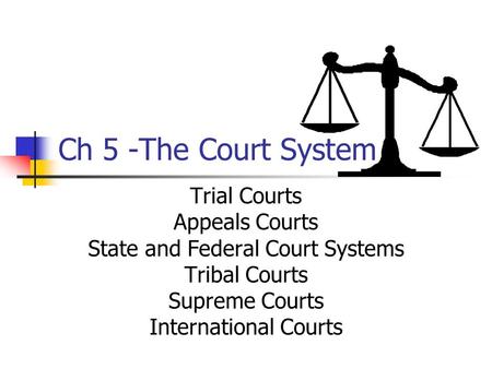 State and Federal Court Systems