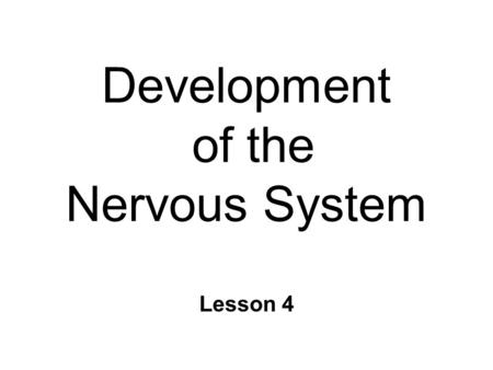 Development of the Nervous System Lesson 4. Development of the Brain n Adult brain structure product of… l Genetic instructions l Cell-to-cell signals.