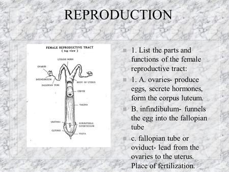 REPRODUCTION n 1. List the parts and functions of the female reproductive tract: n 1. A. ovaries- produce eggs, secrete hormones, form the corpus luteum.