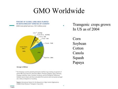 GMO Worldwide Transgenic crops grown In US as of 2004 Corn Soybean Cotton Canola Squash Papaya.