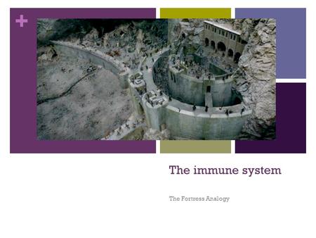 The immune system The Fortress Analogy.