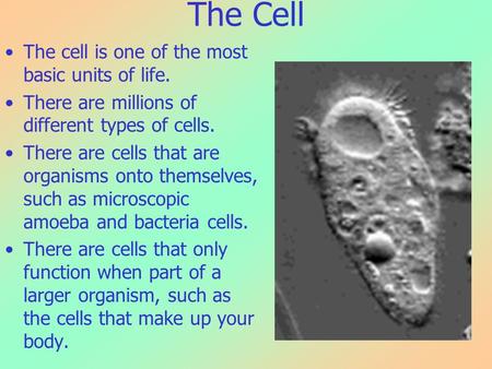 The Cell The cell is one of the most basic units of life. There are millions of different types of cells. There are cells that are organisms onto themselves,