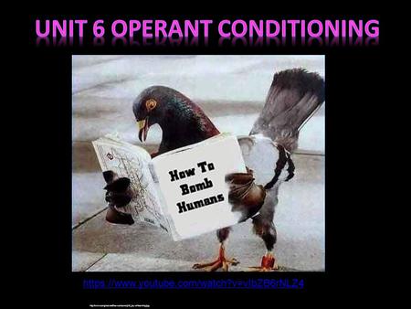 Unit 6 Operant Conditioning
