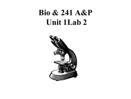 Bio & 241 A&P Unit 1Lab 2. Histology Slides for the Epithelial, Connective, and Integumentary Tissues Slides are presented in order of magnification As.