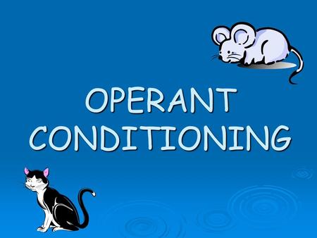 OPERANT CONDITIONING.  Many of the behaviours in animals and humans cannot be explained in terms of classical conditioning.  Many complex behaviours.