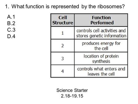 1. What function is represented by the ribosomes? A.1 B.2 C.3 D.4 Science Starter 2.18-19.15.