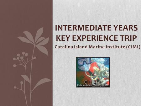 Catalina Island Marine Institute (CIMI) INTERMEDIATE YEARS KEY EXPERIENCE TRIP.