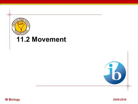 IB Biology 2009-2010 11.2 Movement. IB Biology 11.2.1 Human movement.  Human movement is produced by the skeletal acting as simple lever machines. The.