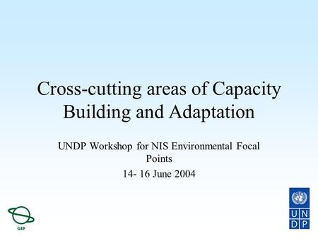 Cross-cutting areas of Capacity Building and Adaptation UNDP Workshop for NIS Environmental Focal Points 14- 16 June 2004.