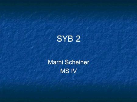 SYB 2 Marni Scheiner MS IV Marni Scheiner MS IV. What kind of image is this, and what do you see?