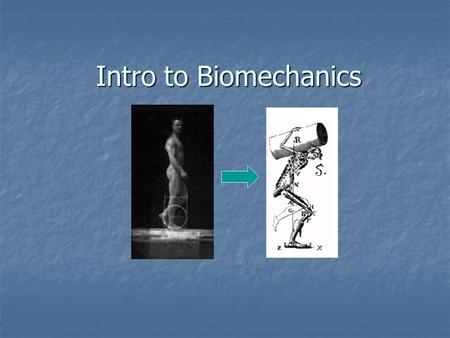 Intro to Biomechanics. The Study of Human Locomotion Historical Perspective.