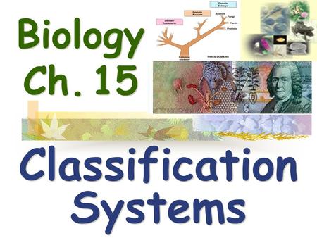 Biology Ch. 15 Classification Systems Classification Systems.