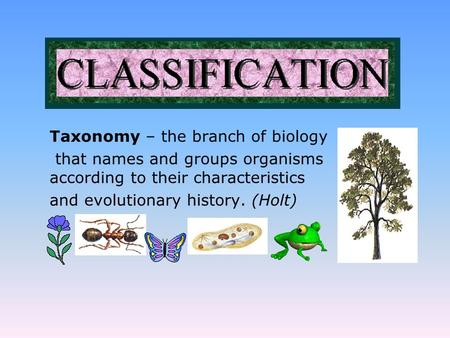Taxonomy – the branch of biology