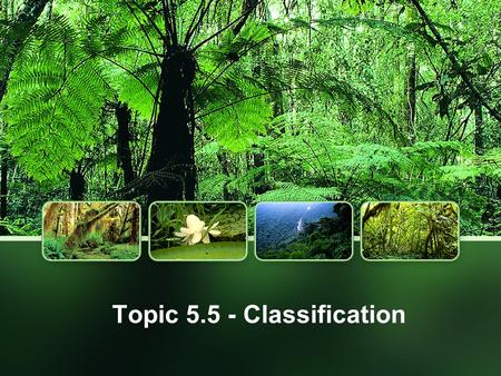Topic 5.5 - Classification. What is Taxonomy? Systematics is the study of the diversity of life and its evolutionary history Systematics is combinaton.