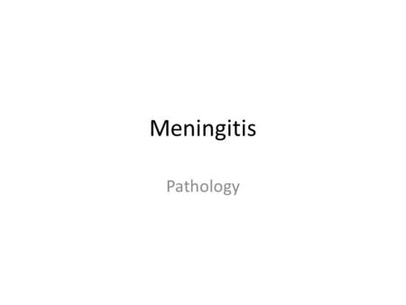 Meningitis Pathology.