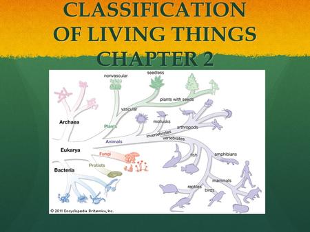 CLASSIFICATION OF LIVING THINGS CHAPTER 2