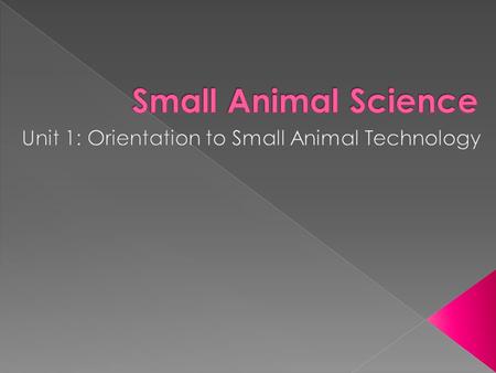  The small animals discussed in this course are domesticated animals or pets, owned by the human population.  Domestic = living near or about human.