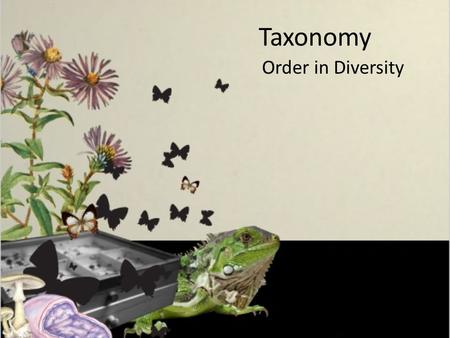 Taxonomy Order in Diversity. Taxonomy: the science of classifying organisms into similar groups based on their characteristics and evolutionary history.
