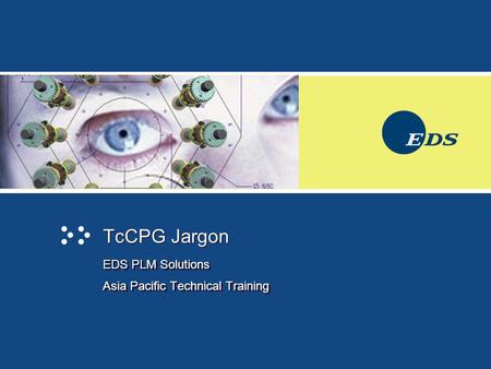 TcCPG Jargon EDS PLM Solutions Asia Pacific Technical Training EDS PLM Solutions Asia Pacific Technical Training.