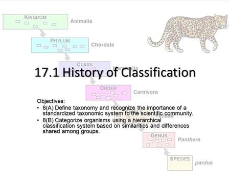 17.1 History of Classification