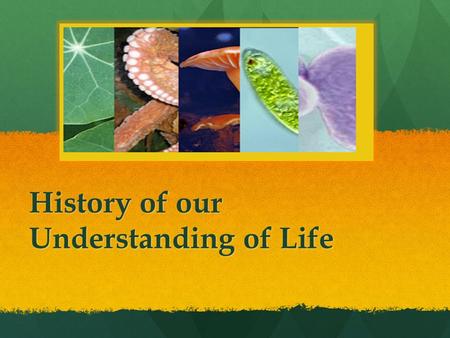 History of our Understanding of Life. How is Life Classified? A short history… 1700s 300s BC 1977 Aristotle Carl Linnaeus Carl Woese.