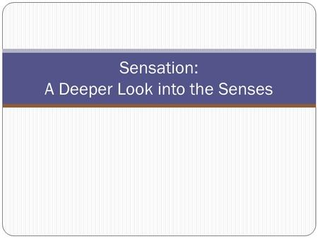 Sensation: A Deeper Look into the Senses. Transmission of Sensory Information Transduction: Transformation of stimulus energy to the electrochemical energy.
