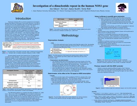Investigation of a dinucleotide repeat in the human NOS1 gene Jon Altizer 1, Yu Cao 1, Janice Kurth 2, Terrie Rife 1 1. James Madison University, Harrisonburg,