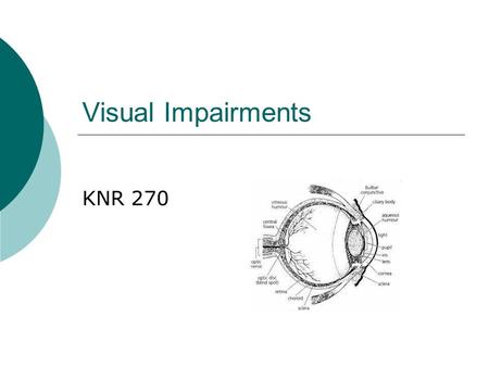 Visual Impairments KNR 270. Visual Impairments  What is visual acuity? Amount of detail that can be seen Clearness  What is visual field? Entire area.