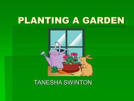 PLANTING A GARDEN TANESHA SWINTON. PREPARING THE SOIL FOR PLANTING  First dig the soil over, and then put the pig, sheep and chicken manure and compost.