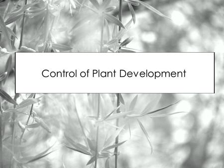 Control of Plant Development. Plant growth regulators (PGRs) plant hormones that affect the rate of division, elongation and differentiation of plant.