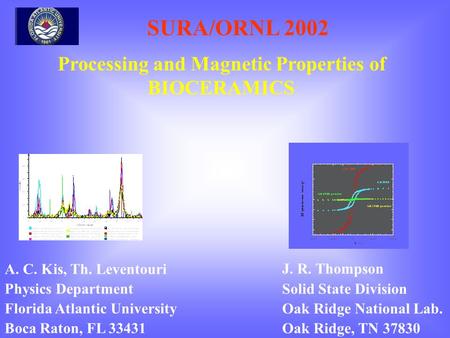 SURA/ORNL 2002 A. C. Kis, Th. Leventouri Physics Department Florida Atlantic University Boca Raton, FL 33431 J. R. Thompson Solid State Division Oak Ridge.