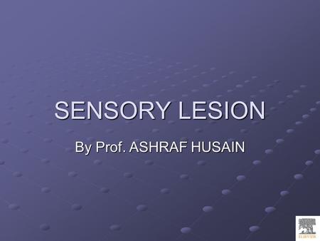 SENSORY LESION By Prof. ASHRAF HUSAIN. Sensory Pathway Lesions.