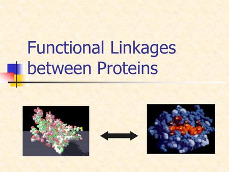 Functional Linkages between Proteins. Introduction Piles of Information Flakes of Knowledge AGCATCCGACTAGCATCAGCTAGCAGCAGA CTCACGATGTGACTGCATGCGTCATTATCTA.