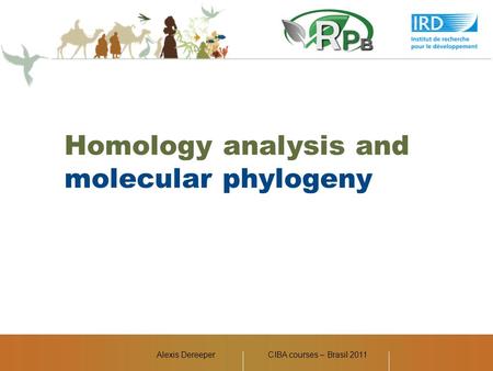 Alexis Dereeper Homology analysis and molecular phylogeny CIBA courses – Brasil 2011.