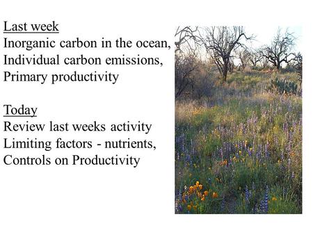 Last week Inorganic carbon in the ocean, Individual carbon emissions, Primary productivity Today Review last weeks activity Limiting factors - nutrients,