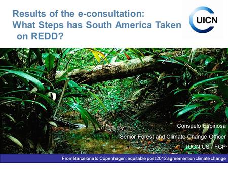 Unión Internacional para la Conservación de la Naturaleza Results of the e-consultation: What Steps has South America Taken on REDD? Consuelo Espinosa.