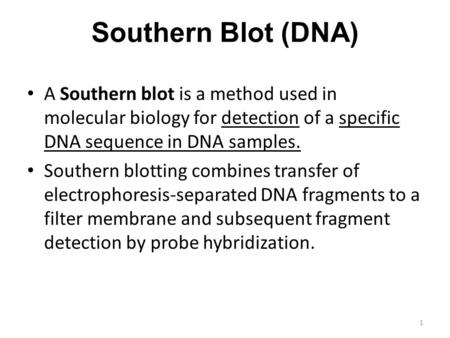 Southern Blot (DNA) A Southern blot is a method used in molecular biology for detection of a specific DNA sequence in DNA samples. Southern blotting combines.