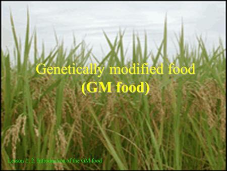 Genetically modified food (GM food)