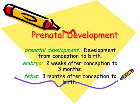 Prenatal Development prenatal development: Development from conception to birth. embryo: 2 weeks after conception to 3 months. fetus: 3 months after conception.