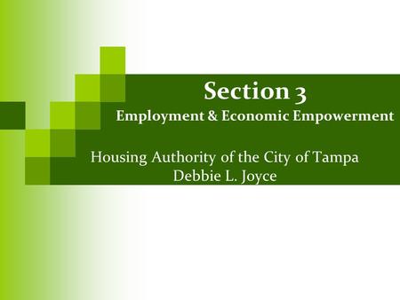 Section 3 Employment & Economic Empowerment Housing Authority of the City of Tampa Debbie L. Joyce.