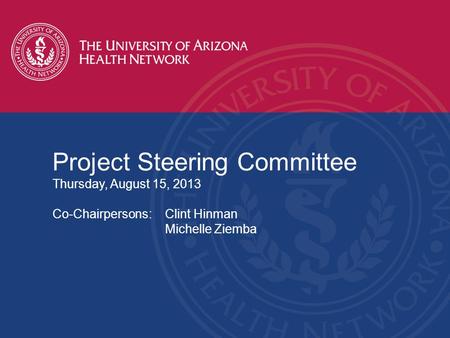 Project Steering Committee Thursday, August 15, 2013 Co-Chairpersons:Clint Hinman Michelle Ziemba.